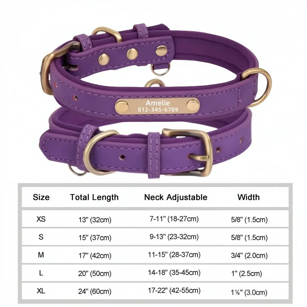 Personalized Custom Dog Collar - Purple / XL