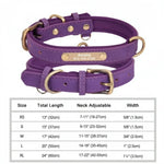 Personalized Custom Dog Collar - Purple / XL