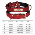Personalized Custom Dog Collar - Red / XL