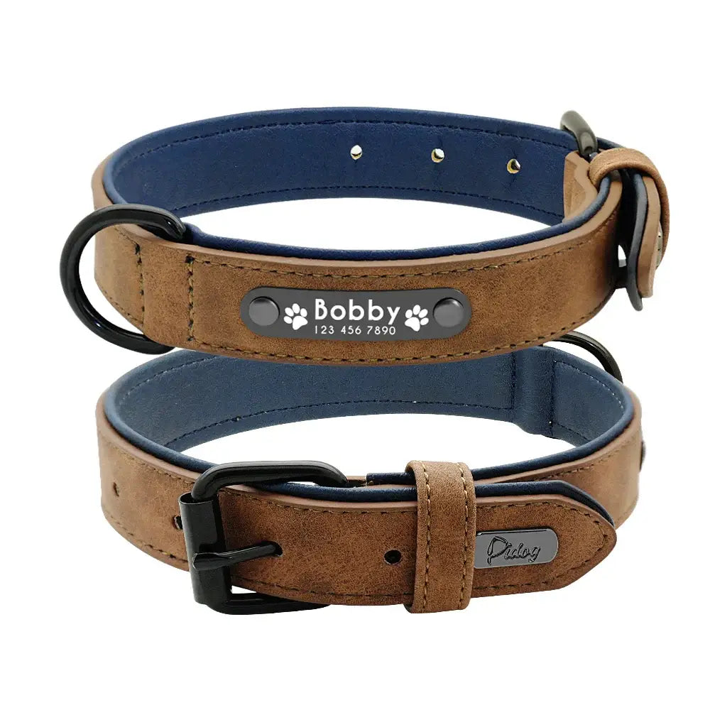 Personalized Padded Collar & Leash - Coffee Collar / 2XL