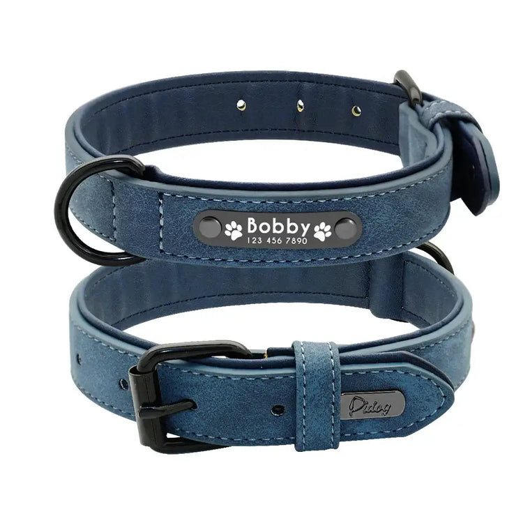 Personalized Padded Collar & Leash - DBlue Collar / XL