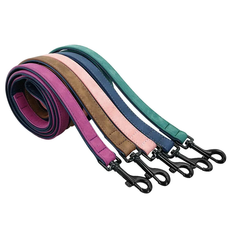 Personalized Padded Collar & Leash