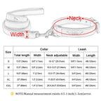 Personalized Padded Collar & Leash