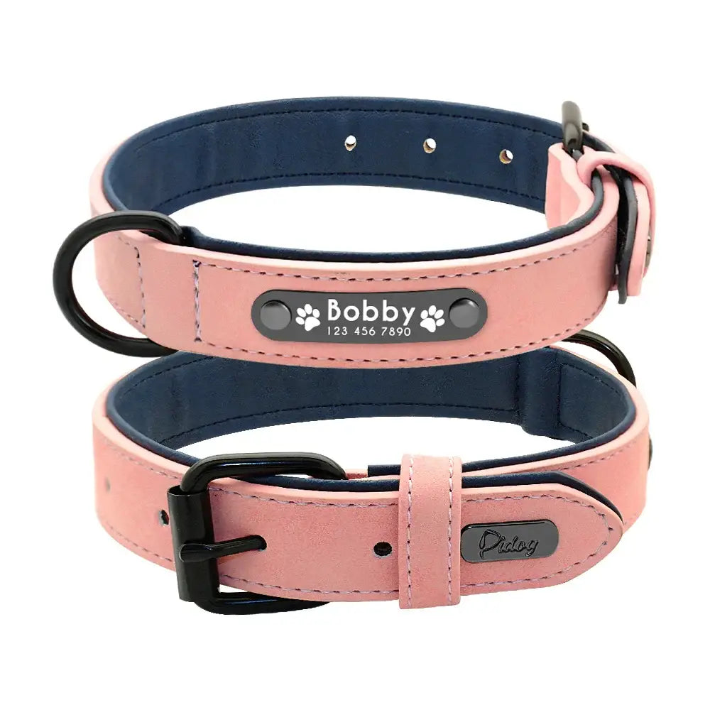 Personalized Padded Collar & Leash - Pink Collar / M