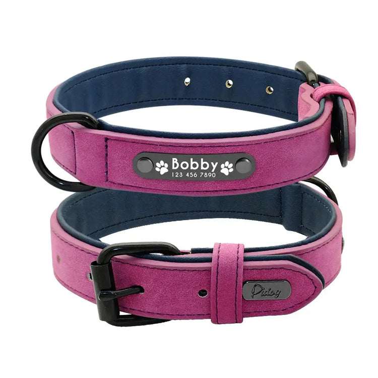 Personalized Padded Collar & Leash - Purple Collar / 2XL