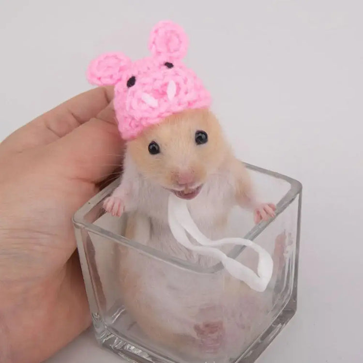Pet Accessories Cartoon Hamster Hat Handmade Adjustable Pet Knitted Hat Soft Hamster Headwear For Parrot Guinea Pig