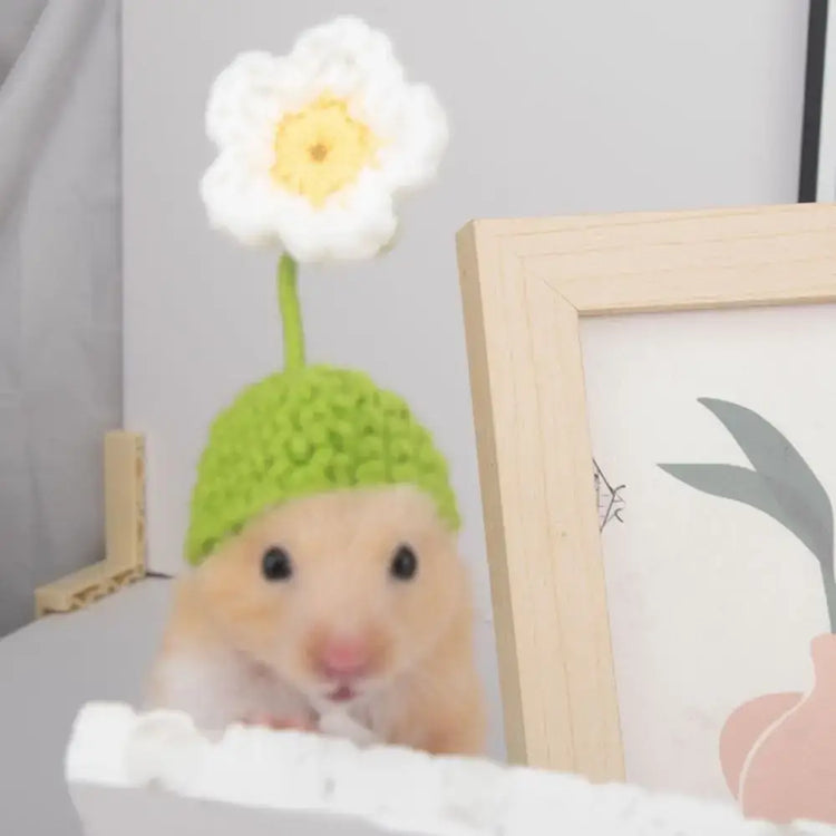 Pet Accessories Cartoon Hamster Hat Handmade Adjustable Pet Knitted Hat Soft Hamster Headwear For Parrot Guinea Pig