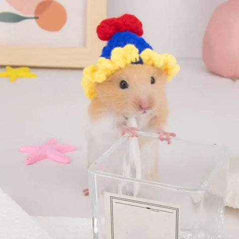 Pet Accessories Cartoon Hamster Hat Handmade Adjustable Pet Knitted Hat Soft Hamster Headwear For Parrot Guinea Pig
