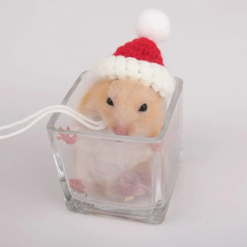 Pet Accessories Cartoon Hamster Hat Handmade Adjustable Pet Knitted Hat Soft Hamster Headwear For Parrot Guinea Pig