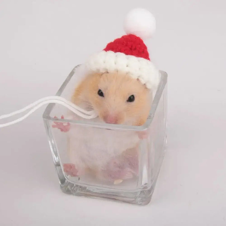 Pet Accessories Cartoon Hamster Hat Handmade Adjustable Pet Knitted Hat Soft Hamster Headwear For Parrot Guinea Pig