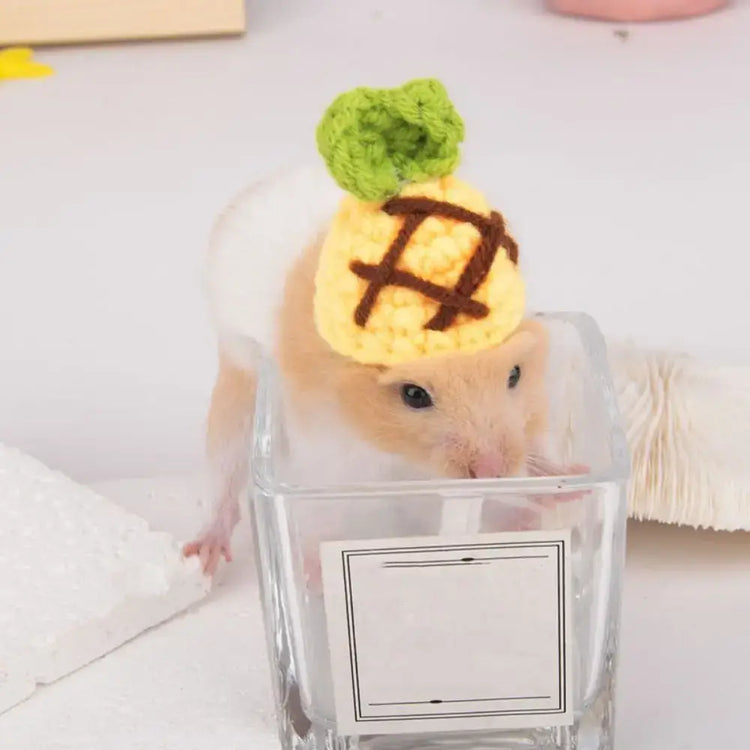 Pet Accessories Cartoon Hamster Hat Handmade Adjustable Pet Knitted Hat Soft Hamster Headwear For Parrot Guinea Pig
