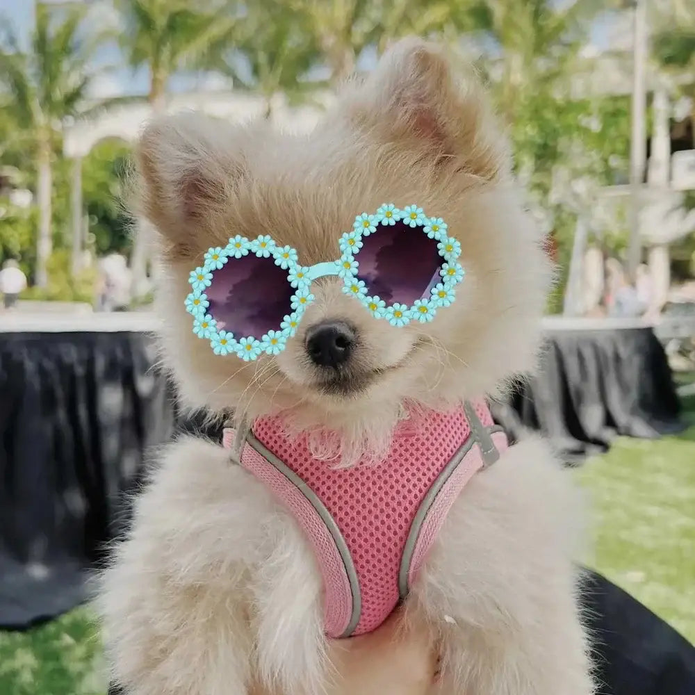 Pet Accessories Flower Sunglasses Circular Role Playing Glasses Photo Props Glasses For Cats And Small And Paracord Dog