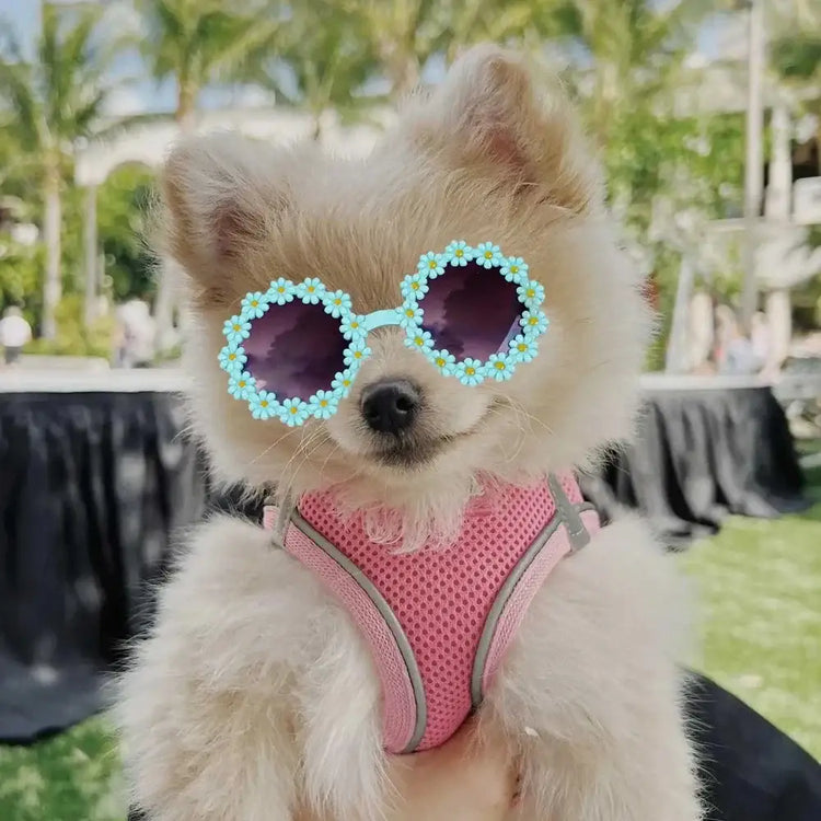 Pet Accessories Flower Sunglasses Circular Role Playing Glasses Photo Props Glasses For Cats And Small And Paracord Dog