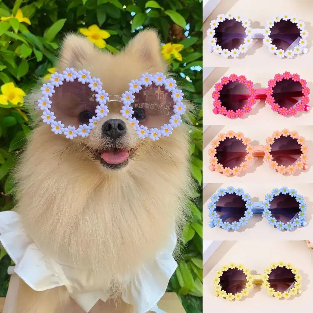 Pet Accessories Flower Sunglasses Circular Role Playing Glasses Photo Props Glasses For Cats And Small And Paracord Dog