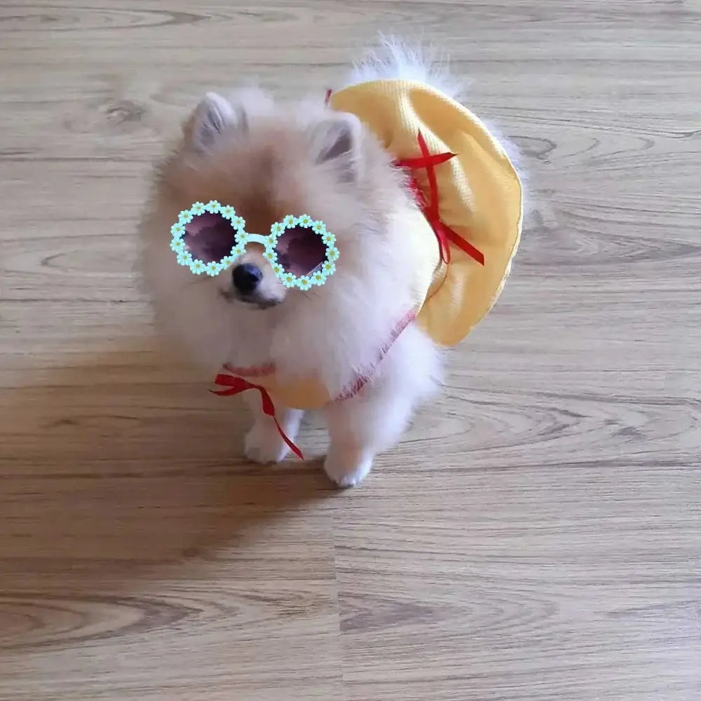 Pet Accessories Flower Sunglasses Circular Role Playing Glasses Photo Props Glasses For Cats And Small And Paracord Dog