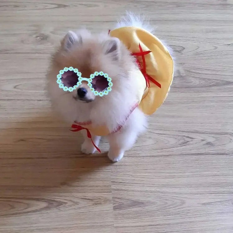 Pet Accessories Flower Sunglasses Circular Role Playing Glasses Photo Props Glasses For Cats And Small And Paracord Dog