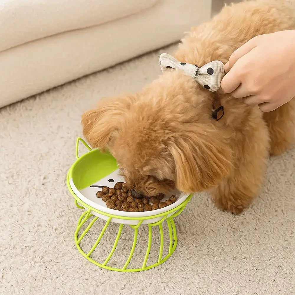 Pet Accessories With Stand Ceramic Cat Bowl Large Capacity Cartoon Cat Food Bowl Non-Slip Pet Feeder for Cats and Dogs