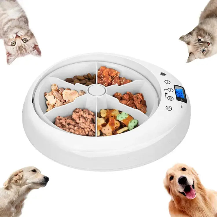 Pet adjustment Intelligent Led electric food dispenser Dog feeder 6 meals Cat automatic timing pet feeder - white