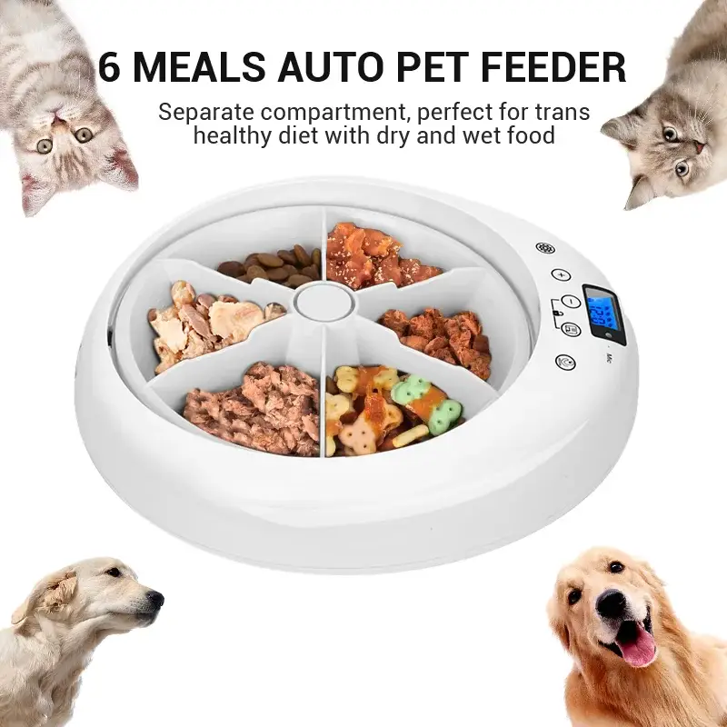 Pet adjustment Intelligent Led electric food dispenser Dog feeder 6 meals Cat automatic timing pet feeder - white