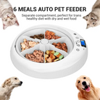 Pet adjustment Intelligent Led electric food dispenser Dog feeder 6 meals Cat automatic timing pet feeder - white