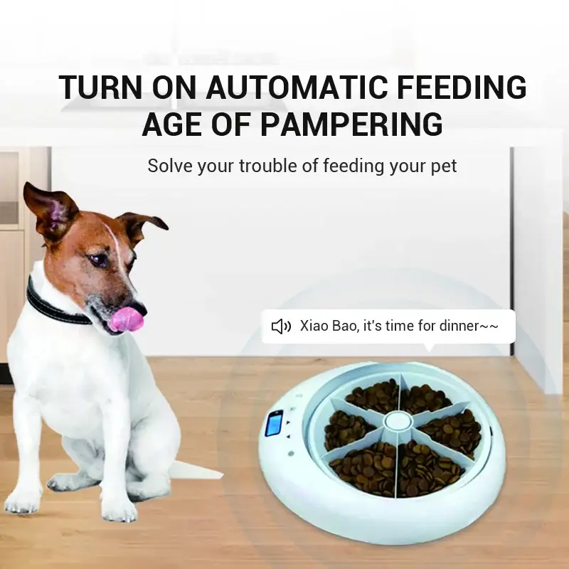 Pet adjustment Intelligent Led electric food dispenser Dog feeder 6 meals Cat automatic timing pet feeder - white