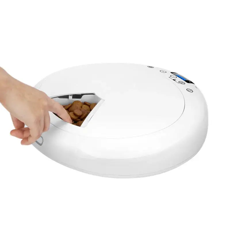 Pet adjustment Intelligent Led electric food dispenser Dog feeder 6 meals Cat automatic timing pet feeder - white