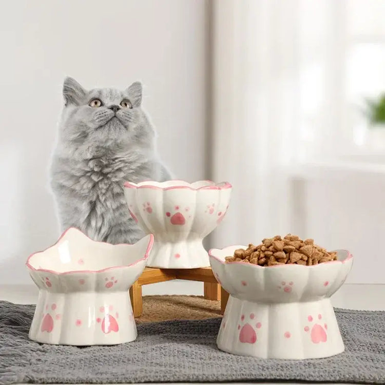 Pet Cat Ceramic Food Bowl Elevated Drinking Eating Feeders Small Puppy Dogs Snack Water Bowls Set Cats Feeding