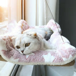 Pet Cat Hammock Aerial Hanging Cat Bed Cats Bed House Kitten Climbing Frame Sunny Window Seat Nest Bearing 20kg Pet