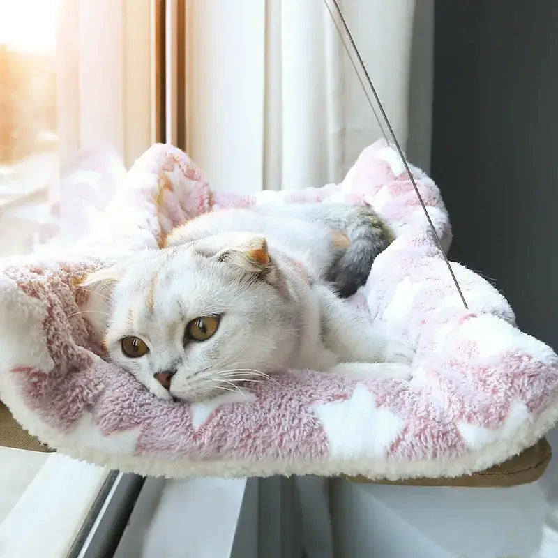 Pet Cat Hammock Aerial Hanging Cat Bed Cats Bed House Kitten Climbing Frame Sunny Window Seat Nest Bearing 20kg Pet