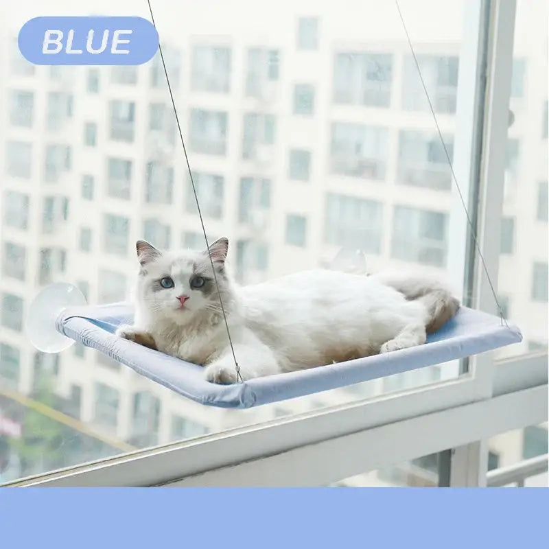 Pet Cat Hammock Aerial Hanging Cat Bed Cats Bed House Kitten Climbing Frame Sunny Window Seat Nest Bearing 20kg Pet