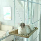Pet Cat Hammock Aerial Hanging Cat Bed Cats Bed House Kitten Climbing Frame Sunny Window Seat Nest Bearing 20kg Pet