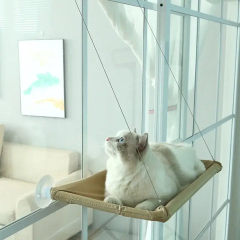 Pet Cat Hammock Aerial Hanging Cat Bed Cats Bed House Kitten Climbing Frame Sunny Window Seat Nest Bearing 20kg Pet