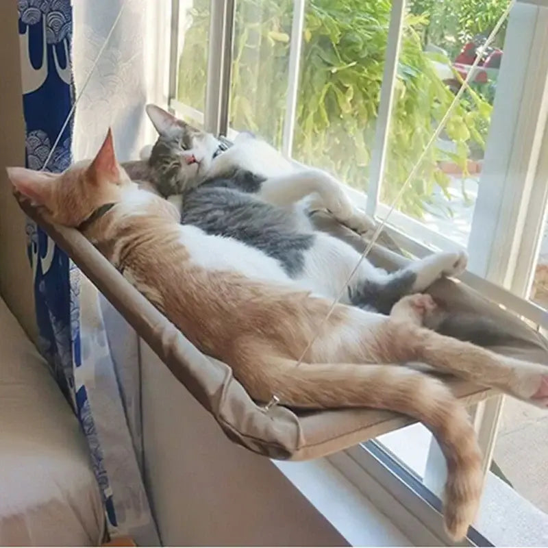 Pet Cat Hammock Aerial Hanging Cat Bed Cats Bed House Kitten Climbing Frame Sunny Window Seat Nest Bearing 20kg Pet