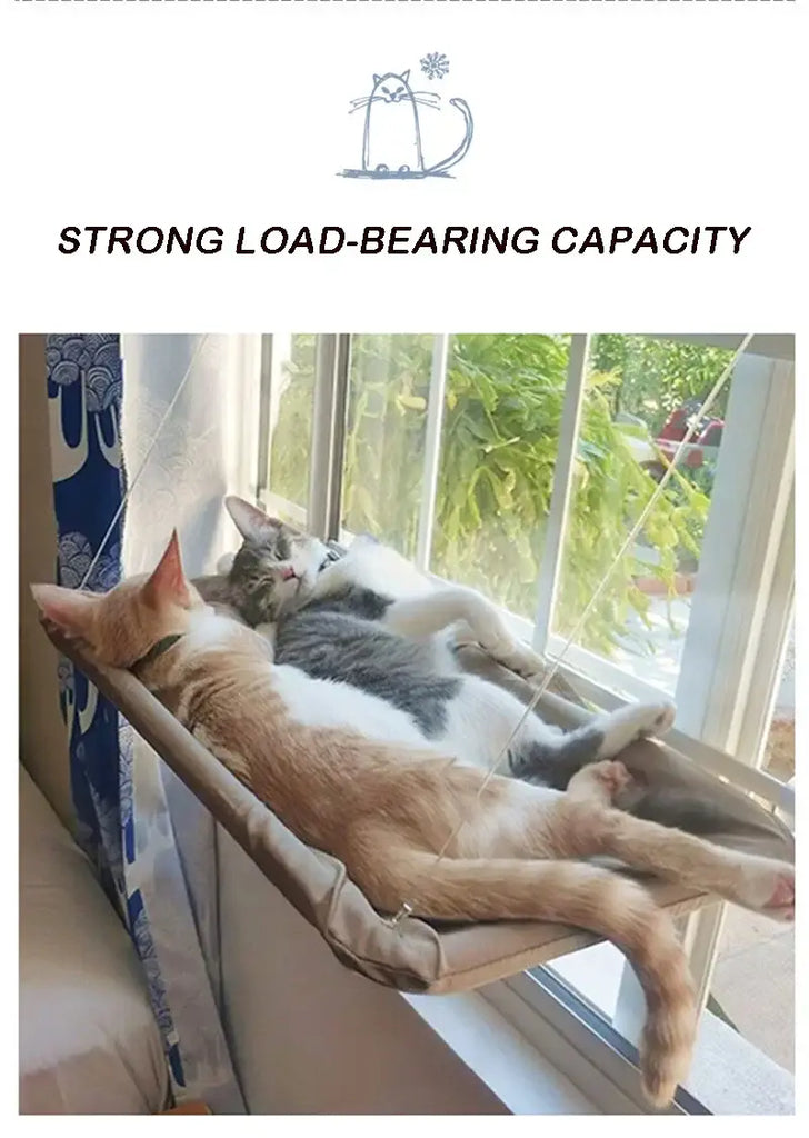 Pet Cat Hammock Aerial Hanging Cat Bed Cats Bed House Kitten Climbing Frame Sunny Window Seat Nest Bearing 20kg Pet