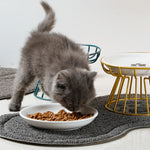 Pet ceramic bowl tall cat food bowl snack canister dish cat food bowl with neck protection and anti-toppling function
