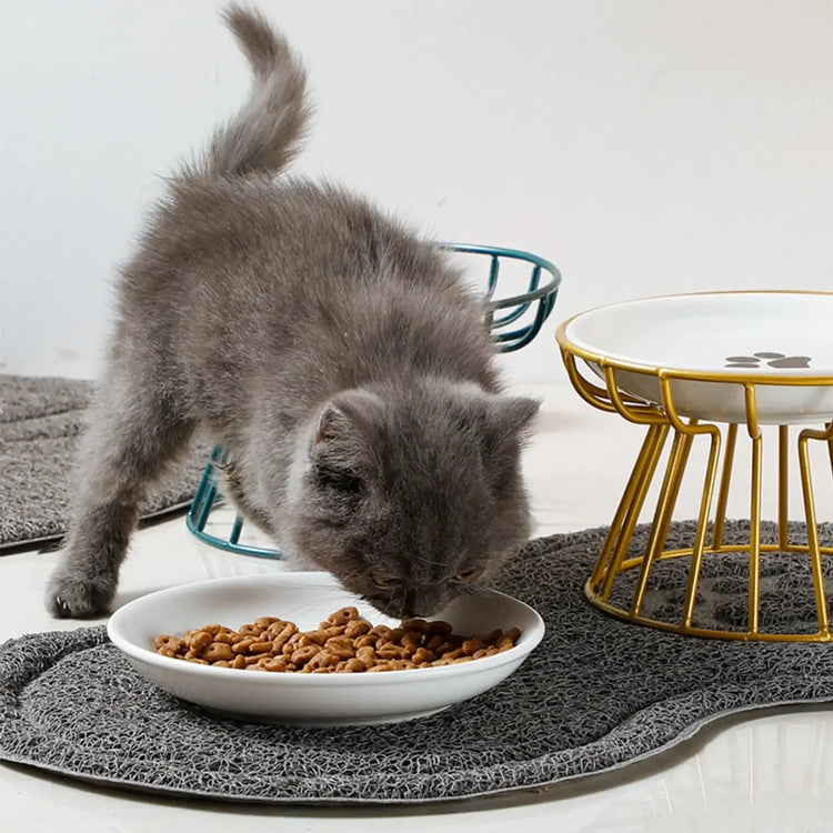 Pet ceramic bowl tall cat food bowl snack canister dish cat food bowl with neck protection and anti-toppling function