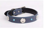 Pet Collar for Medium and Large Dogs Adjustable Metal Accessories Snow Leather Dog Collar Dog Accessories Dog Walking