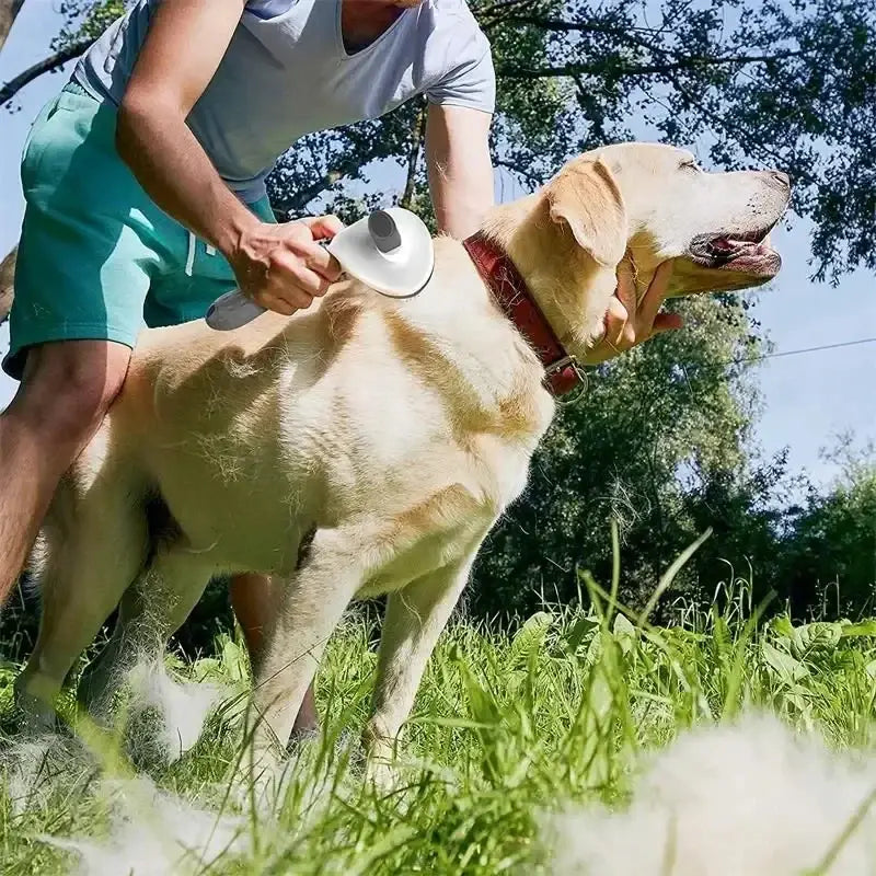 Pet dog brush; cat brush; one-button pet hair removal brush; dog and cat beauty tool; pet hair removal brush.