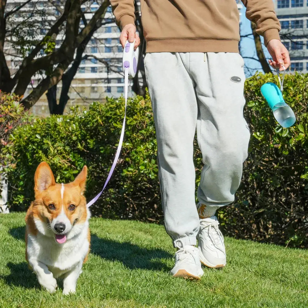 Pet Dog Water Bottle 300ML Puppy Drinking Bowls For Small Medium Dogs Cats Hiking Portable Cat Feeder Golden Retriever