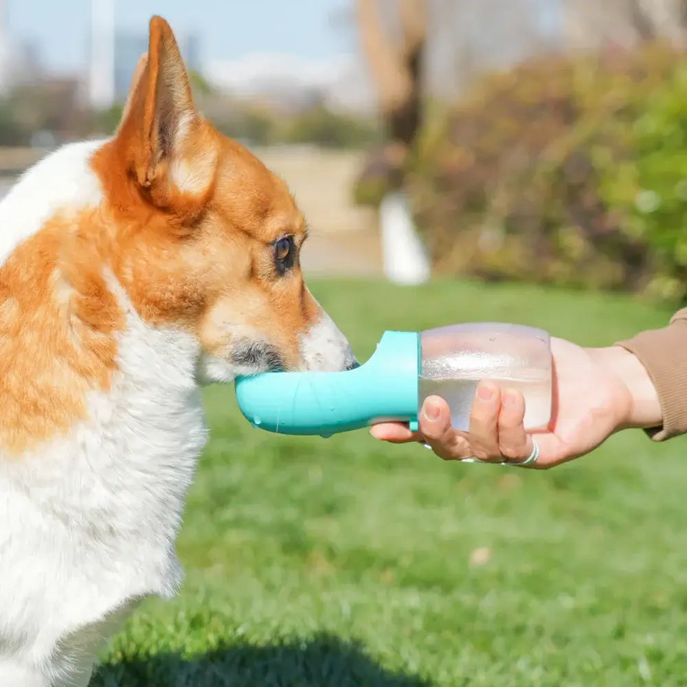 Pet Dog Water Bottle 300ML Puppy Drinking Bowls For Small Medium Dogs Cats Hiking Portable Cat Feeder Golden Retriever