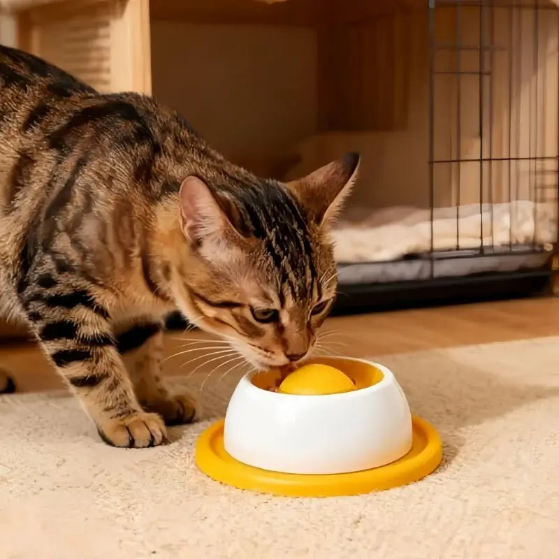 Pet Feeding Accessories Dog Treat Toy Puzzle Toys For Bored Puppy Slow Feeder Puppy Supplies For Healthy Eating Food