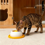 Pet Feeding Accessories Dog Treat Toy Puzzle Toys For Bored Puppy Slow Feeder Puppy Supplies For Healthy Eating Food