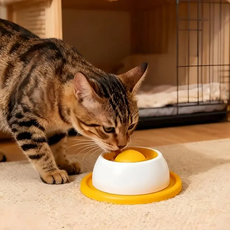 Pet Feeding Accessories Dog Treat Toy Puzzle Toys For Bored Puppy Slow Feeder Puppy Supplies For Healthy Eating Food