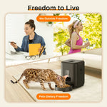 Pet feeding machine APP controlled automatic cat feeder cat dry food dispenser suitable for small and medium-sized pet