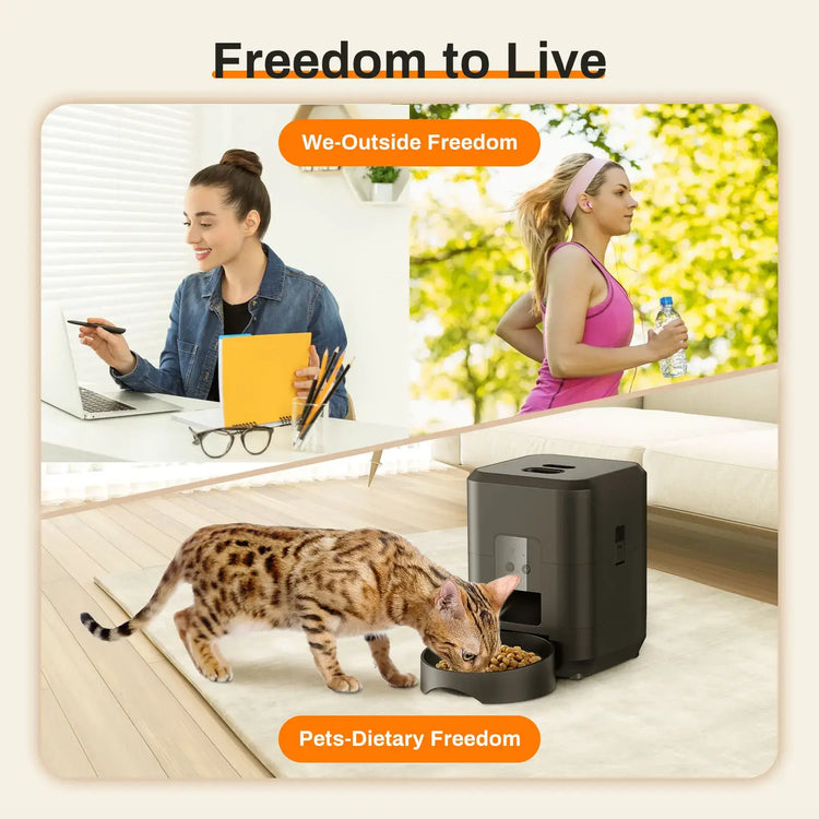 Pet feeding machine APP controlled automatic cat feeder cat dry food dispenser suitable for small and medium-sized pet