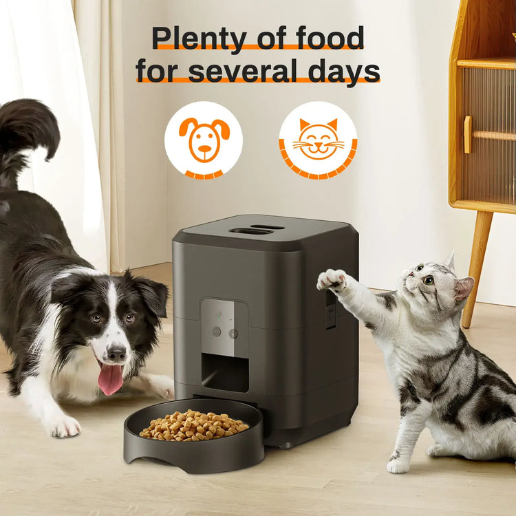 Pet feeding machine APP controlled automatic cat feeder cat dry food dispenser suitable for small and medium-sized pet