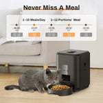 Pet feeding machine APP controlled automatic cat feeder cat dry food dispenser suitable for small and medium-sized pet