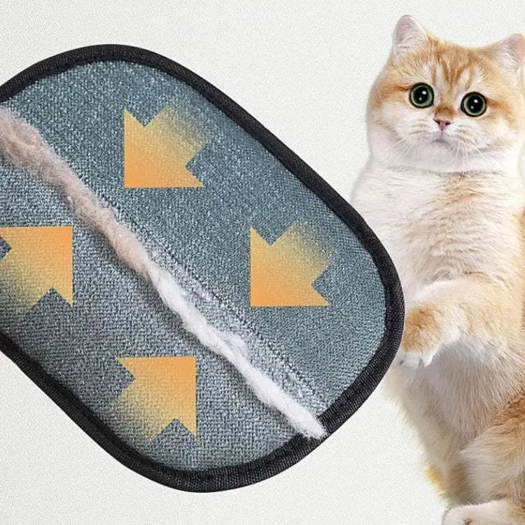 Pet Hair Remover Portable Washable Clothes Hair Dehairing Gloves Pet Cleaning Products Pet Accessories - Black