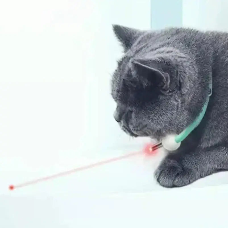 Pet laser cat teasing collar USB charging intelligent electric version adjustable size cat interactive product - 1pc