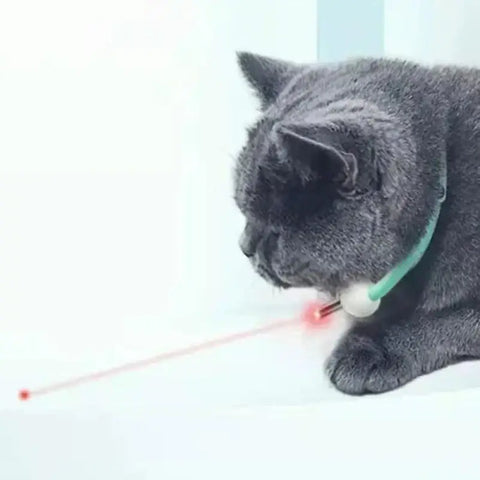 Pet laser cat teasing collar USB charging intelligent electric version adjustable size cat interactive product - 1pc